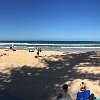 a half day trip to Manly Beach