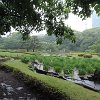 Ninomaru Japanese garden, East Gardens, Imperial Palace