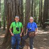 Continuing our day trip, we stopped  off in a Redwood Forest along the way