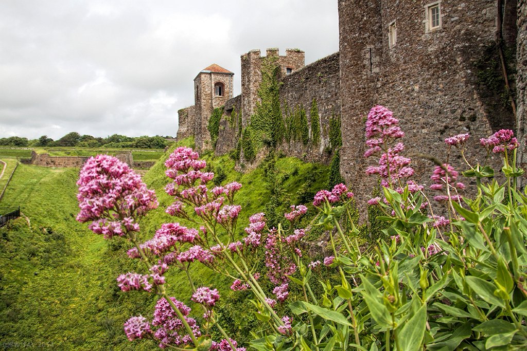 UKDoverDoverCastle1b