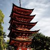 Five storied Pagoda and huge Sago Palm