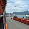 we took the train and ferry to Miyajima Island