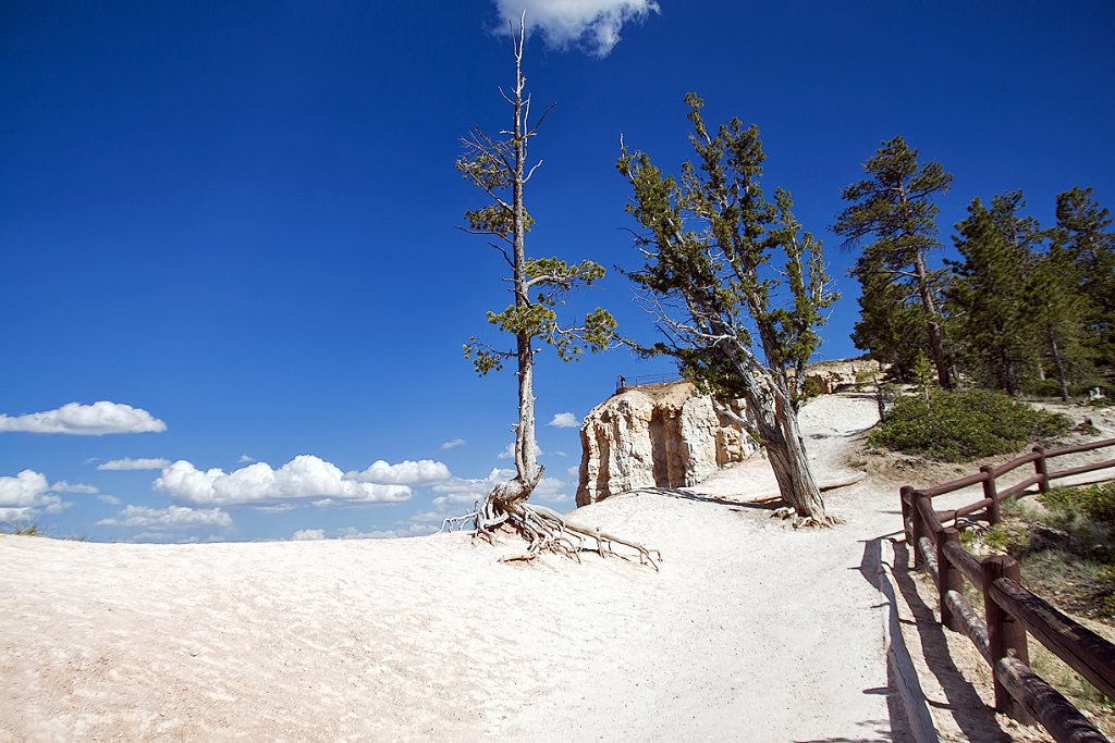 UTBryceCanyonInspPoint