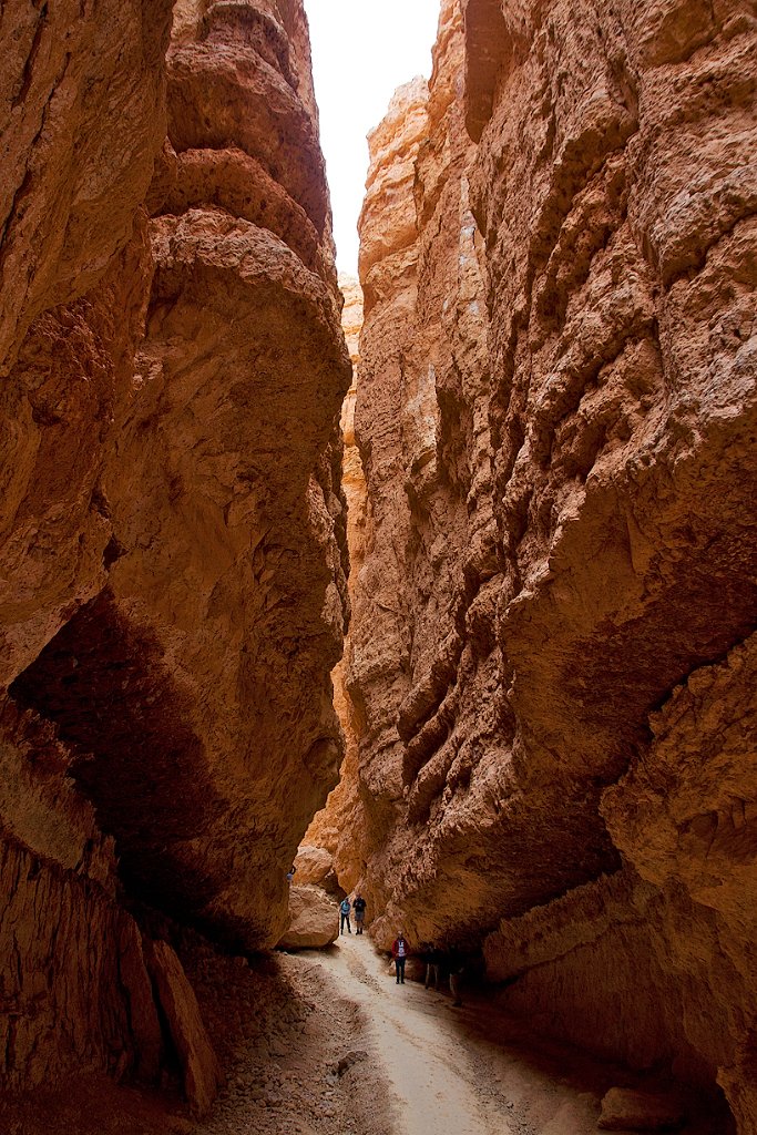 UTBryceCanyonWallStreetTrail3