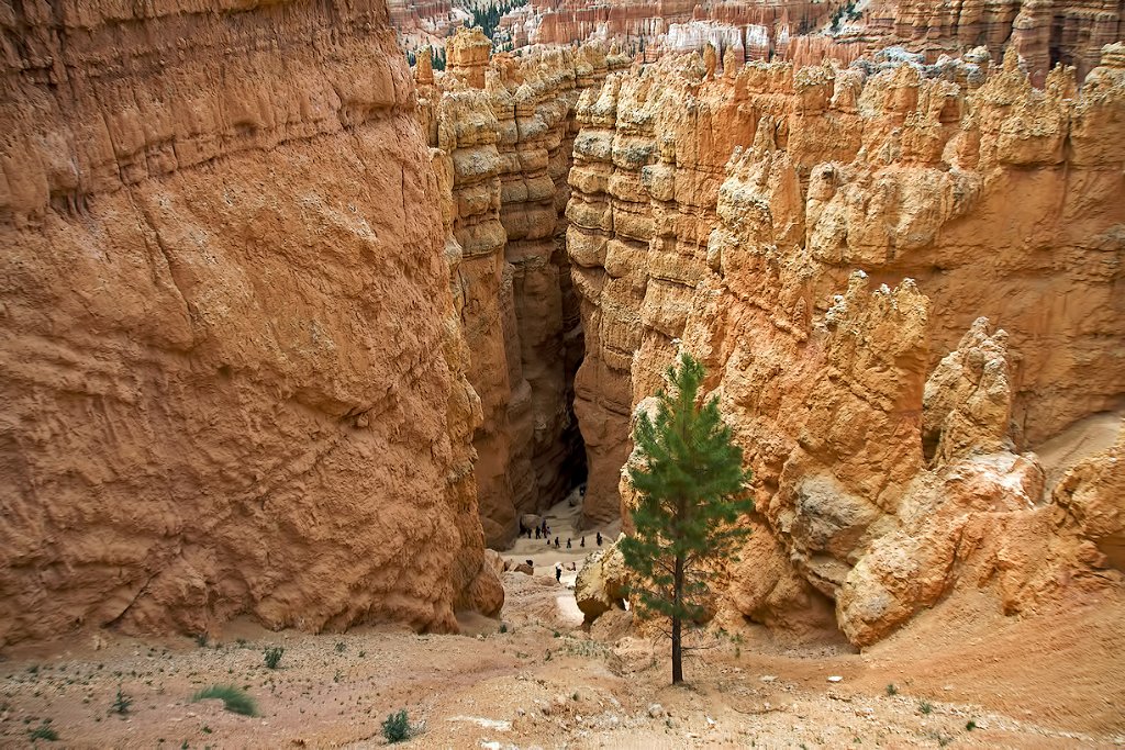 UTBryceCanyonWallStreetTrail4